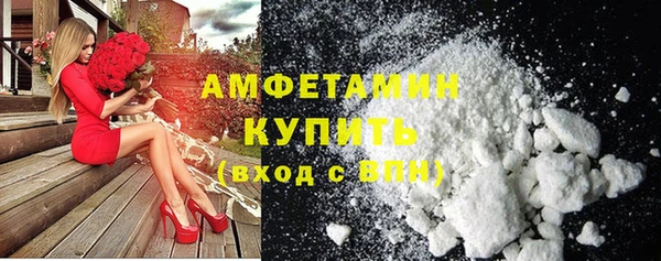 сатива Коряжма