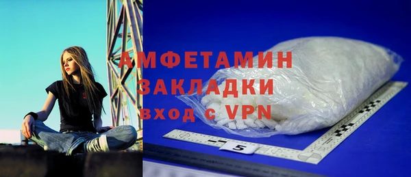 сатива Коряжма