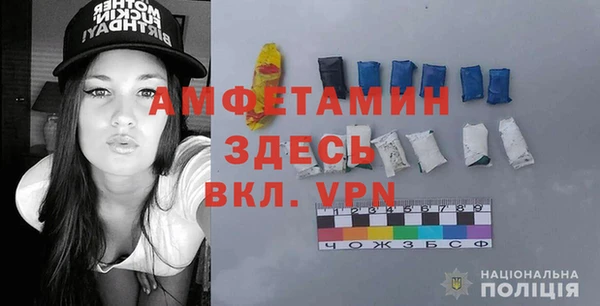 сатива Коряжма