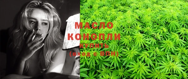 сатива Коряжма
