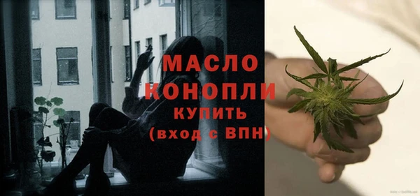 сатива Коряжма