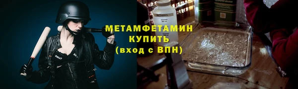 сатива Коряжма