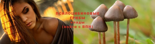 кокаин премиум Корсаков