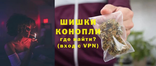 сатива Коряжма