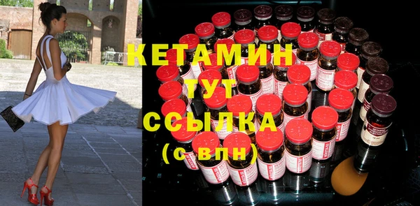 сатива Коряжма