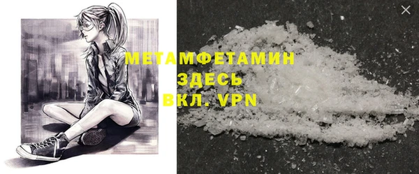 сатива Коряжма