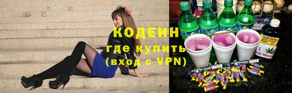 сатива Коряжма