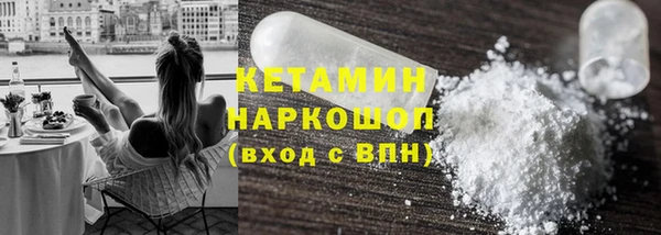 сатива Коряжма